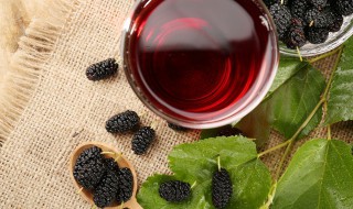 桑阴的意思 桑阴的解释