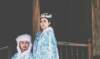 雪山飞狐简介 雪山飞狐作品简介是什么