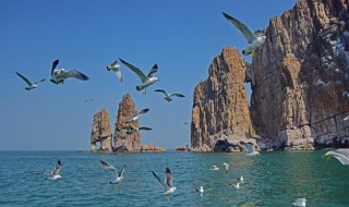 海平面是指哪个海为准 海平面是指以黄海为准吗