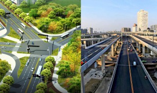 什么是分离式道路 分离式道路是什么