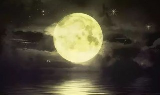 月怎么读 月字介绍