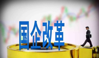 国企怎么进 国企如何进
