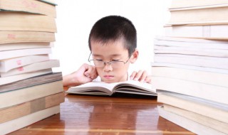 琴怎么读 琴字简单介绍