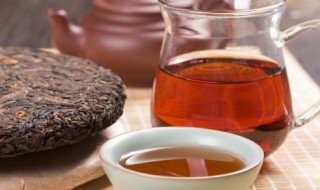 茶怎么读 茶读音