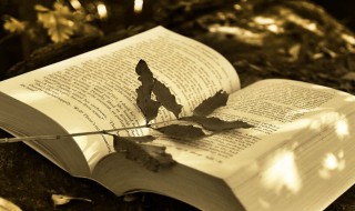 吉怎么读 吉读法