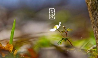 春天注意什么 春天注意事项