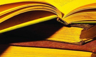 杆怎么组词 杆组词解释