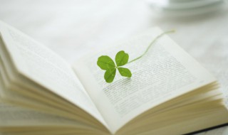 签字盖章一般应注意什么问题 签字盖章的注意事项