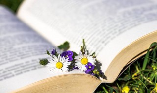 石怎么读 石读法