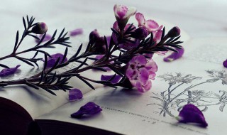 旦怎么读 旦读法