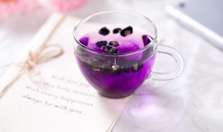 黑枸杞和什么泡水喝最好 教你如何正确养生