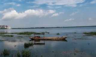 芜湖市5路共交车路线 公交车路线图