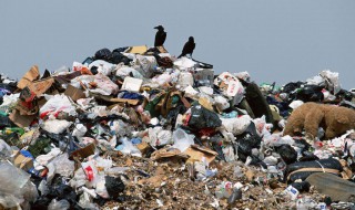 农村生活垃圾可以深埋吗 一起来聊聊