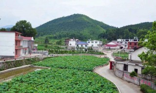 全国有几个芦溪镇 地理知识