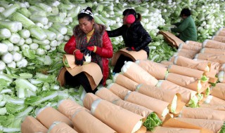 安顺蔬菜批发市场在什么地方 贵州安顺蔬菜批发市场在哪里