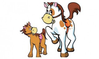 女马19年下半年结婚吉日 属马的女人结婚吉日