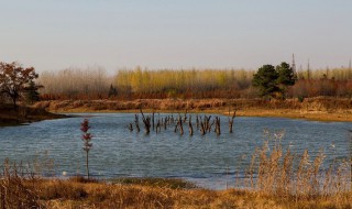 南京六合有一个什么湖 是旅游景点吗