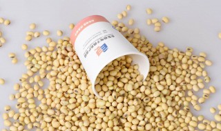 黄豆粉钓鱼配方 垂钓鲫鱼很好用哦