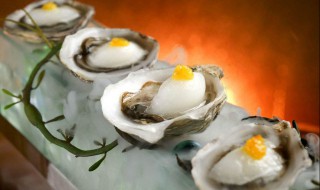 冰冻的生蚝怎么煮才好吃 你会吃吗