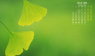 八月一号开始到几时为一年 是到7月31号吗