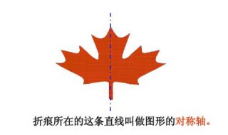 直径的定义 什么是直径