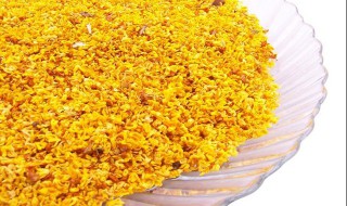 野钓鲫鲤饵料 自己怎么做