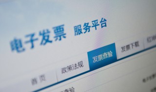 电子票用的是什么漆 电子发票是什么发票