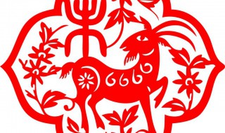 属羊取名宜忌 生肖取名