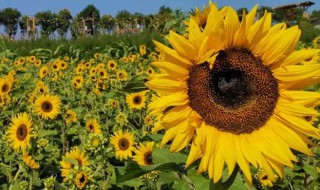 宝鸡19路公交车路线 19路公交