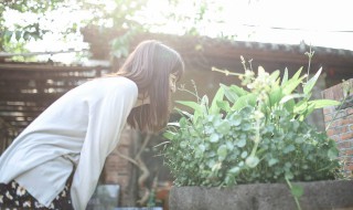 什么叫糖水片 是不好的意思吗