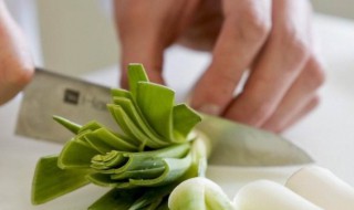切菜怎么能切不到手 你更喜欢哪个方法