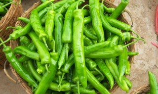 老坛香卜辣椒怎么制作 请看回答