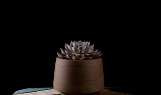 100句最有禅意的句子 100句有禅意的唯美句子