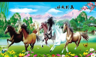 为什么坠马伤害那么大 注意安全