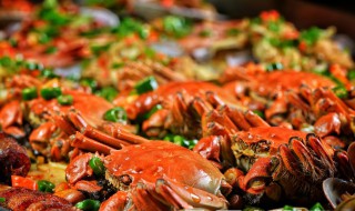 螃蟹的正确方法 吃螃蟹的正确方法