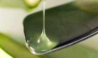 芦荟的吃法和做法 这种做法你试过吗