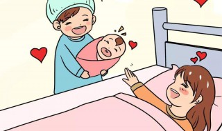 上海生育津贴如何计算 大家可以计算一下