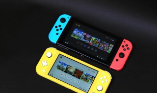 switch和switch lite区别 两者有什么区别