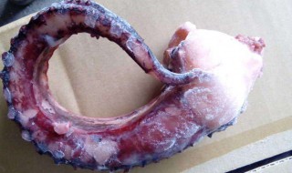 冻章鱼足怎么做好吃 香喷喷的清炒章鱼足