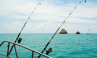 海竿用什么线好 海竿用什么鱼线好
