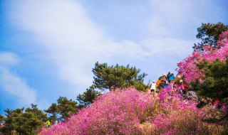 从光荷花园到灵花富贵园小区乘几路公交车 请看公交