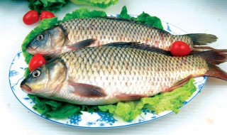 秋天钓鱼用腥饵还是用香饵料 鲤鱼多数喜欢什么饵料