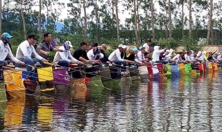 前期抢鱼怎样调 黑坑头鱼日抢鱼如何调漂