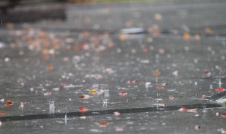 降雨量一百毫米一平方米是多少公斤 降雨量与降水重量的关系