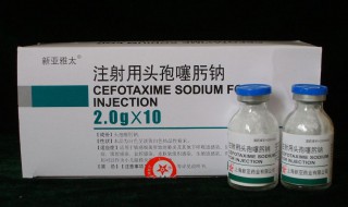 先锋专业名称是什么 你见过几个