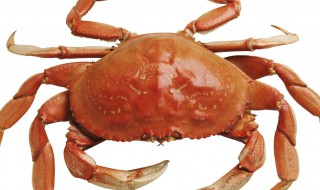 螃蟹放水里死了后盖翻了还能吃吗 一起来看看