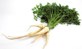 神农素是什么 什么是神农元素