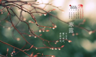 寒露注意事项 这几个你一定不能忽视