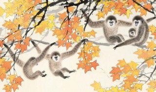 1980生肖猴2019下半年婚姻 1980年属猴2019年运势