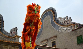 龙虎之争打一生肖 是什么生肖